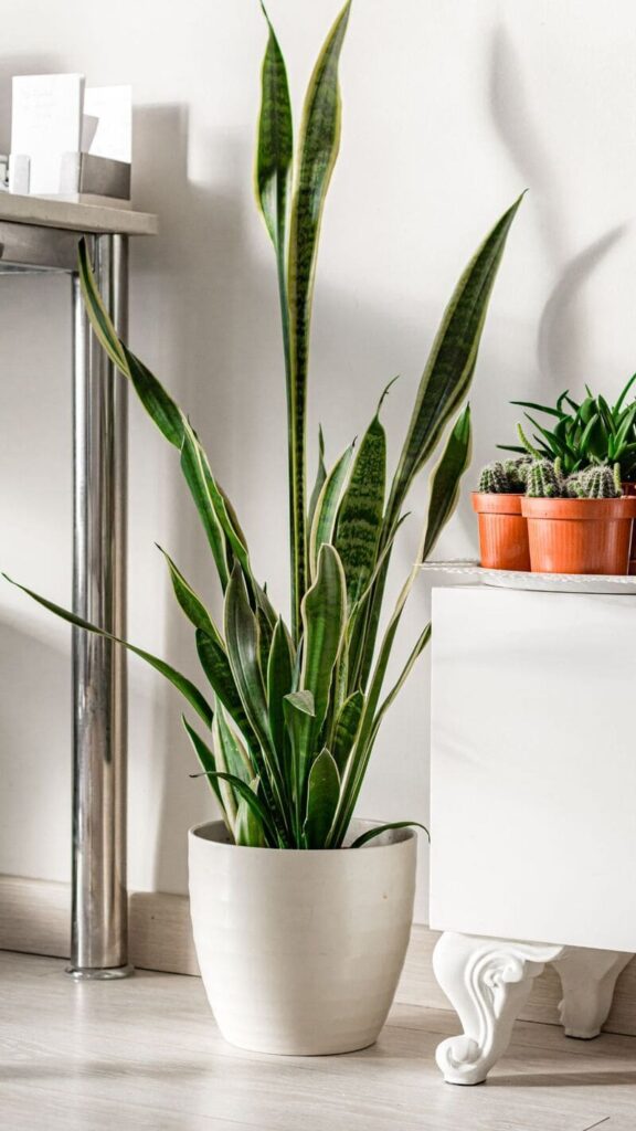 Imagem da página sobre