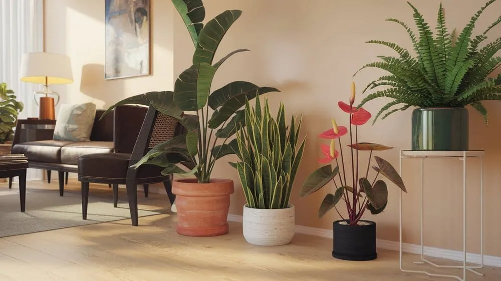 Sala com sofá, cadeira, luminária e plantas como samambaia, espada de São Jorge e antúrio em vasos.