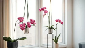 Um oásis de orquídeas pode transformar qualquer espaço, por menor que seja